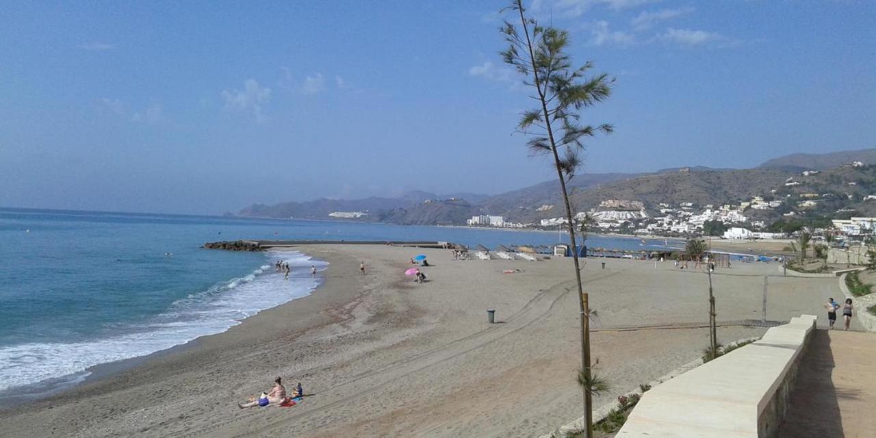 Paradise Apartamento